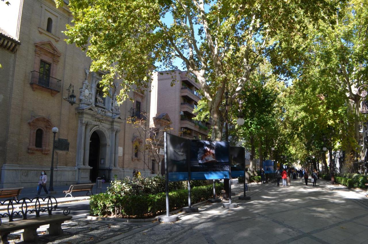 גרנדה Carmela Suites Apartamento De Dos Dormitorios מראה חיצוני תמונה